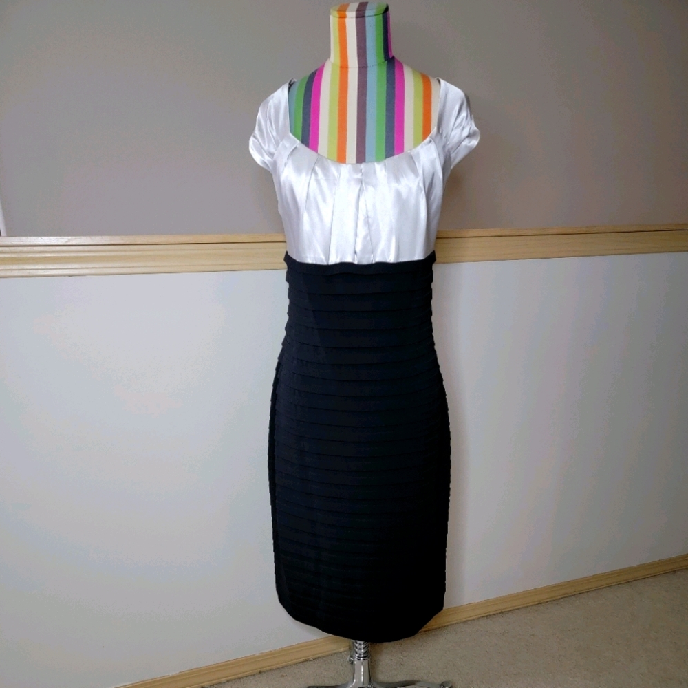 Dress Barn Dress